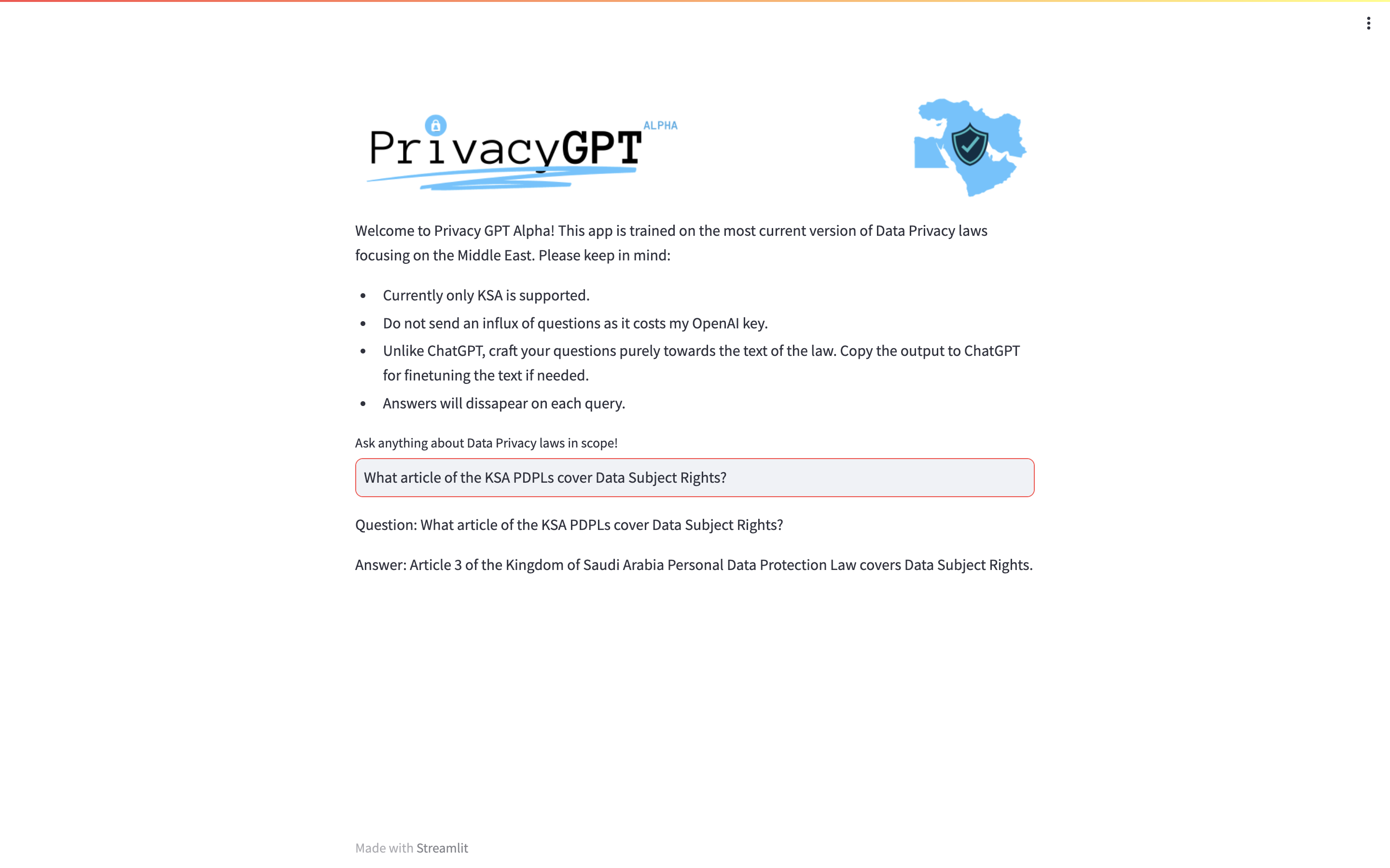 Privacy GPT Interface